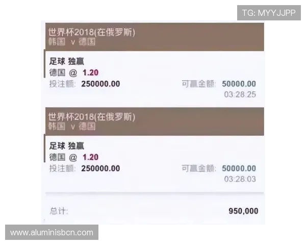 2026世界杯买球平台选择指南，帮助用户找到最安全稳定的投注渠道