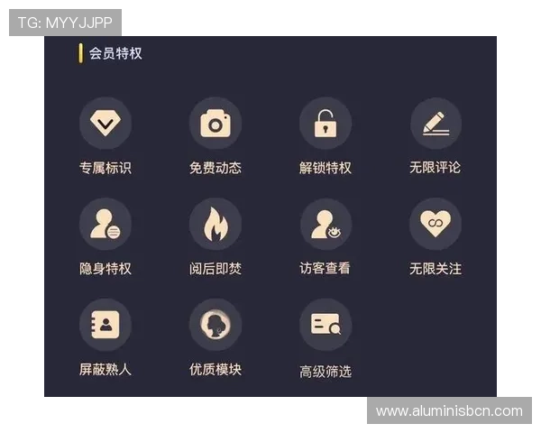 U体育VIP直营平台的会员权益全面解析让你了解专属特权与福利